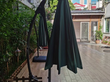 傘類