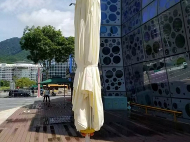 傘類